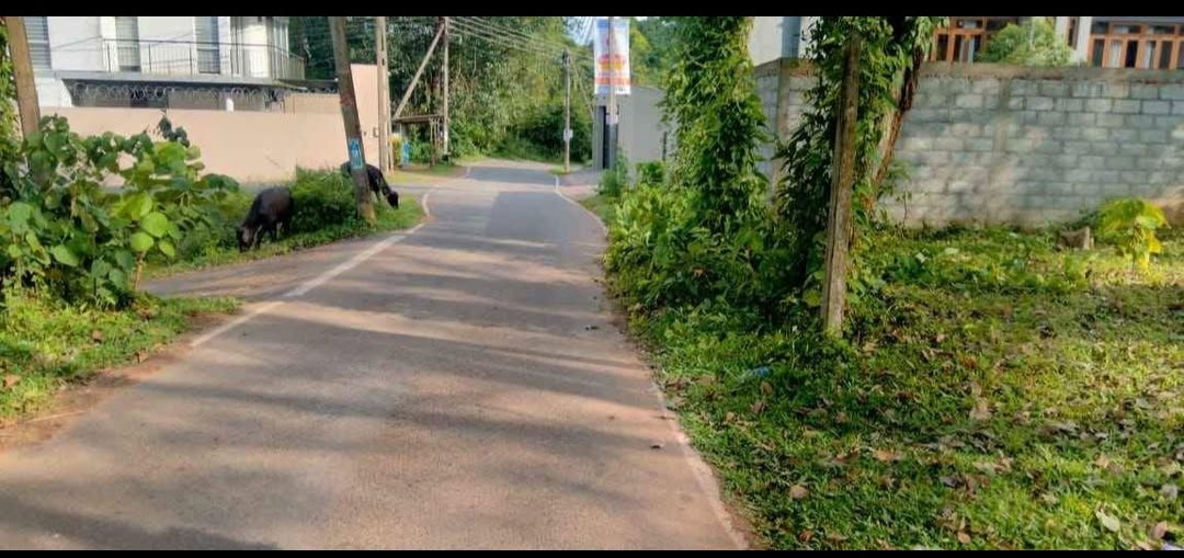 Residential Land for Sale in Kottawa