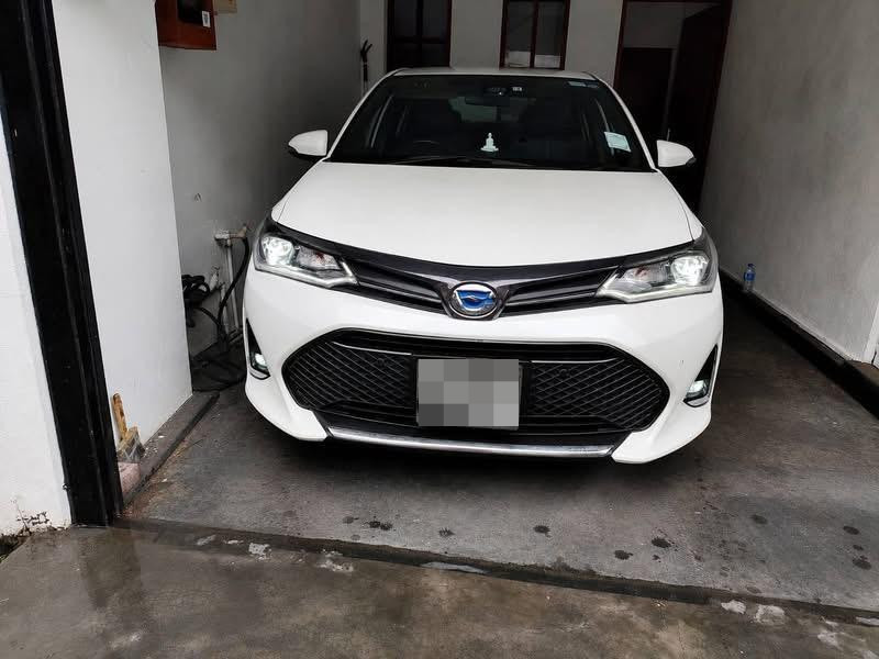 Toyota Axio 2019 - Used Car sale in Sri Lanka - patpat.lk