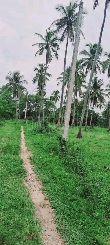 Residential Land for Sale in Kurunegala