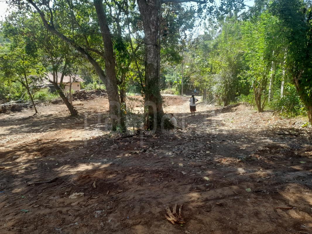 Residential Land for Sale in Tangalla ads-image-1