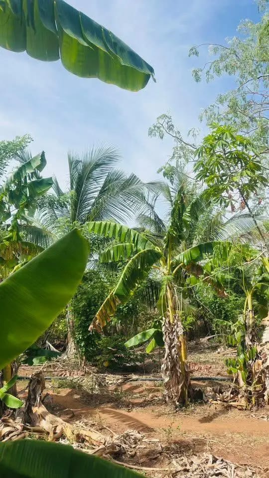 Residential Land for Sale in Kataragama
