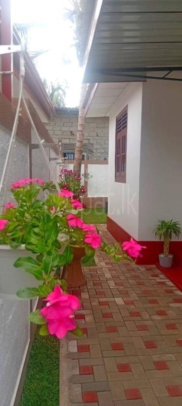 House for Sale in Naranwala
