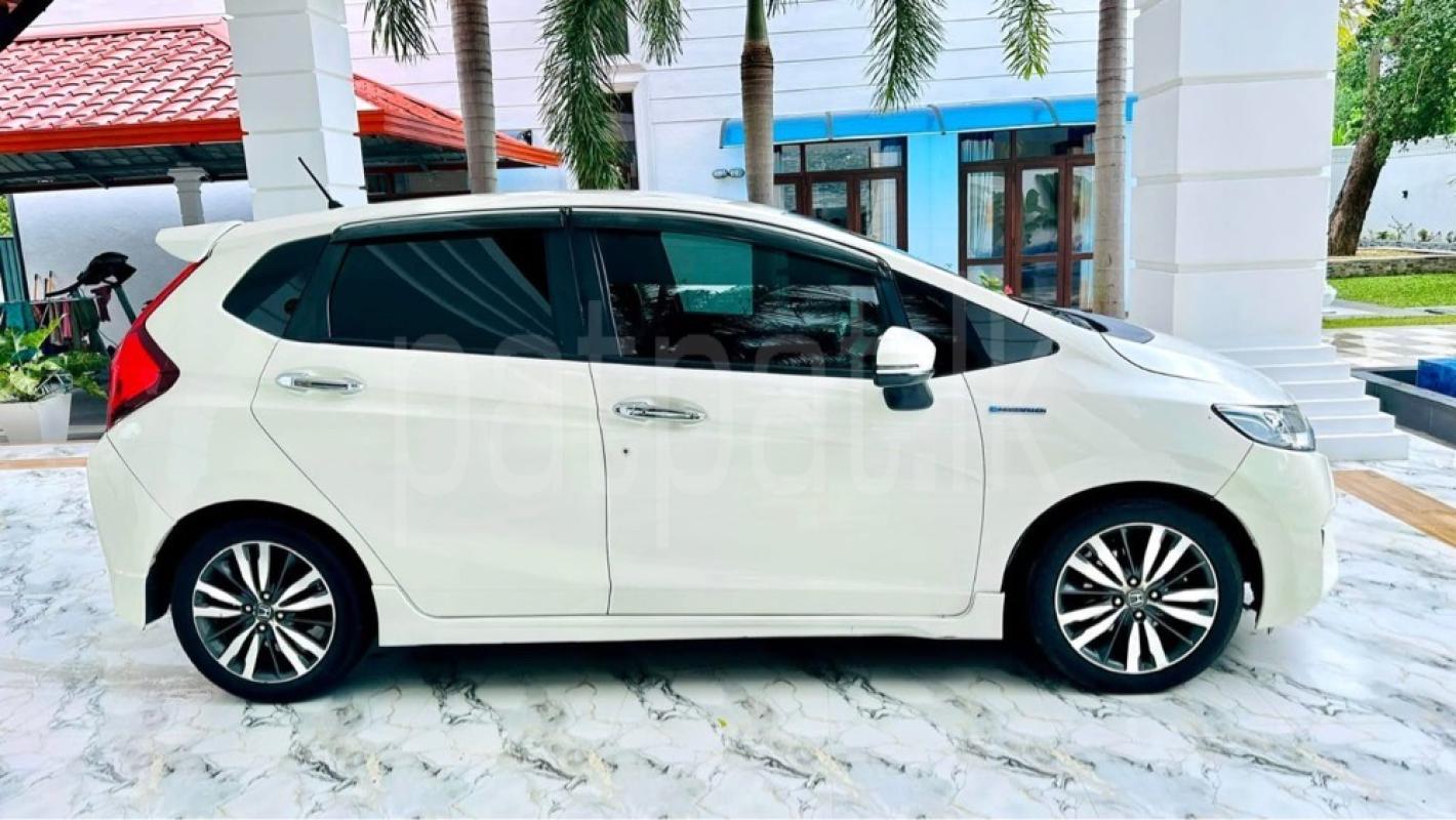 Advertisement image 2