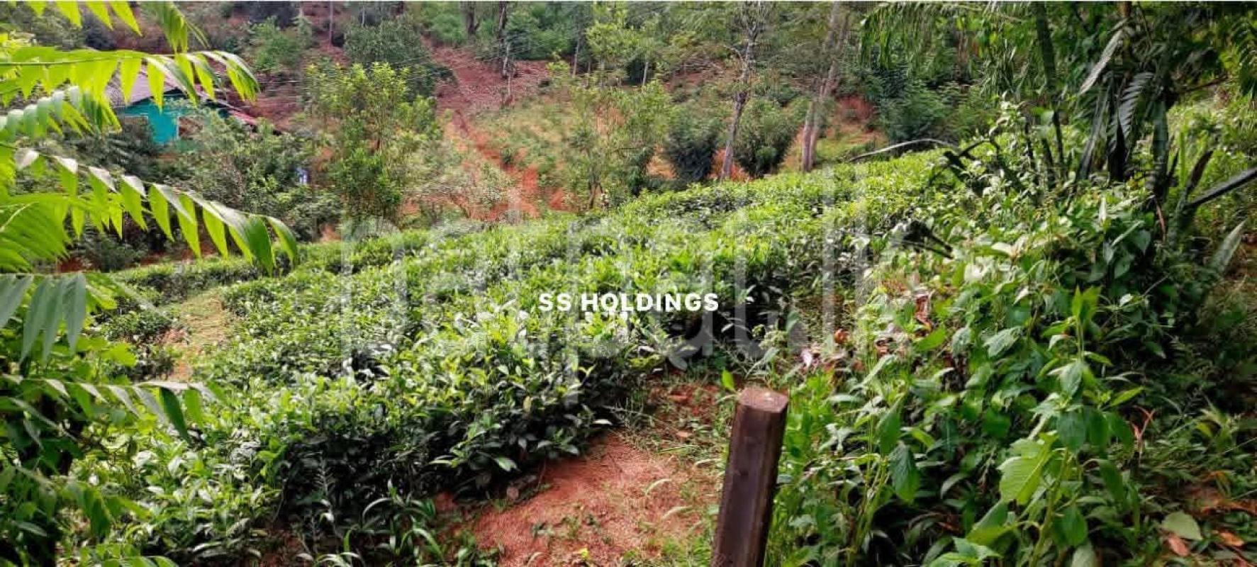Commercial Land for Sale in Bandarawela
