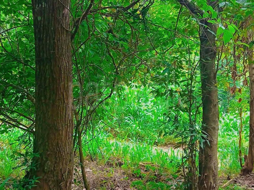 Residential Land for Sale in Medamahanuwara