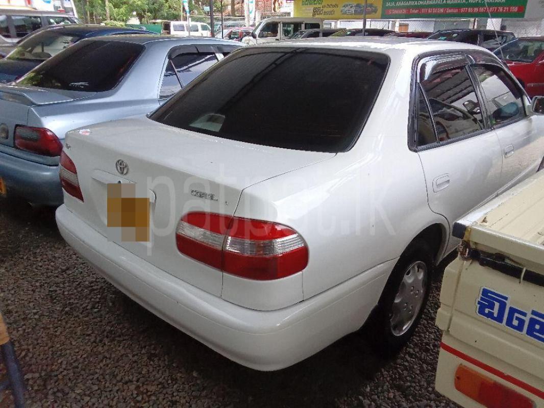 Toyota Corolla 2001 - භාවිතා කරන ලද කාර් sale in Sri Lanka - patpat.lk