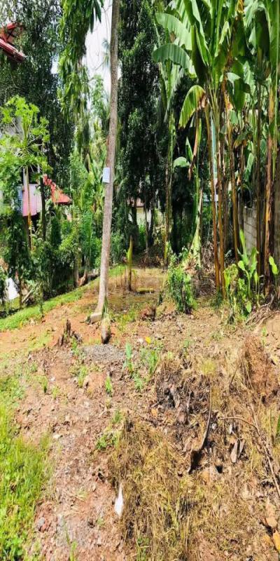 Residential Land for Sale in Kesbewa ads-image-1
