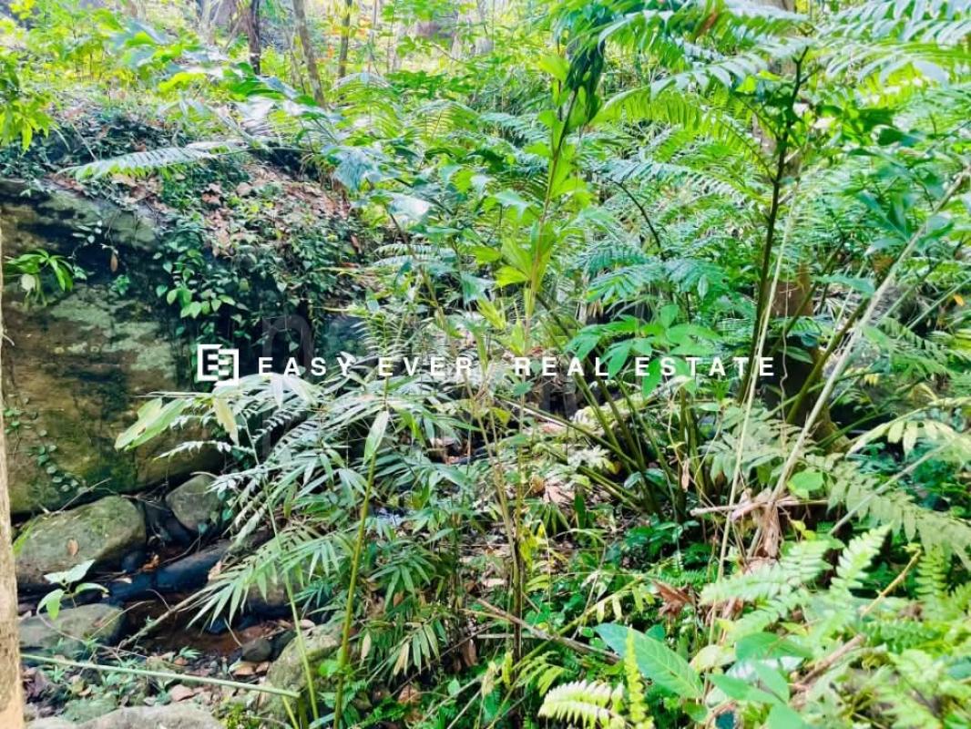 Residential Land for Sale in Nittambuwa