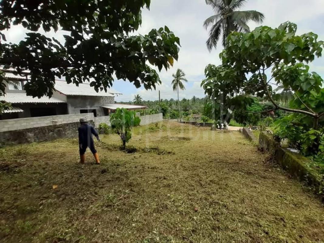 Commercial Land for Sale in Kadawatha