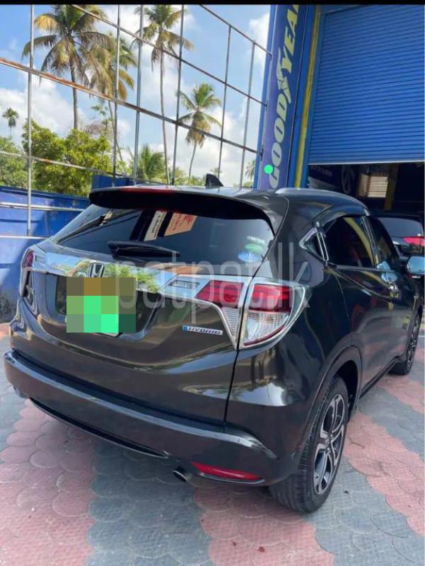 Advertisement image 4