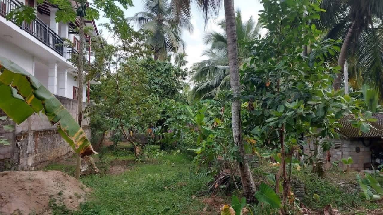 Commercial Land for Sale in Delgoda ads-image-1