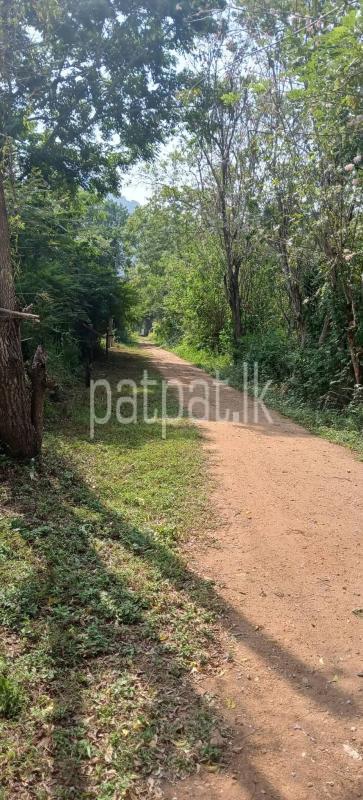 Residential Land for Sale in Kataragama