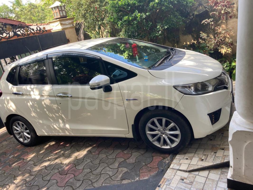 Advertisement image 3