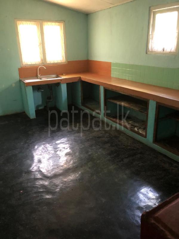 House for Rent in Piliyandala