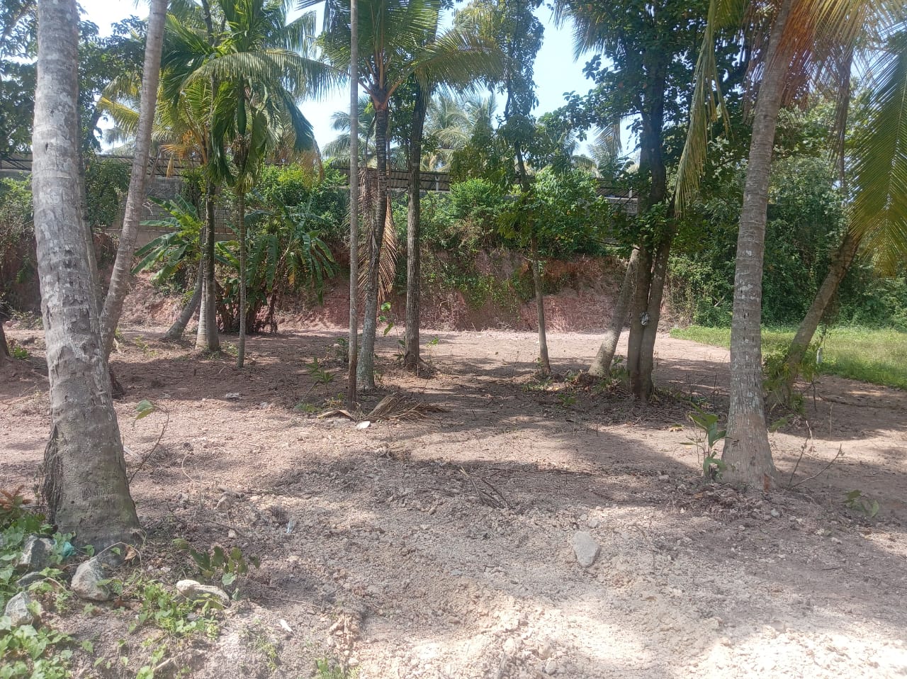 Residential Land for Sale in Katunayake