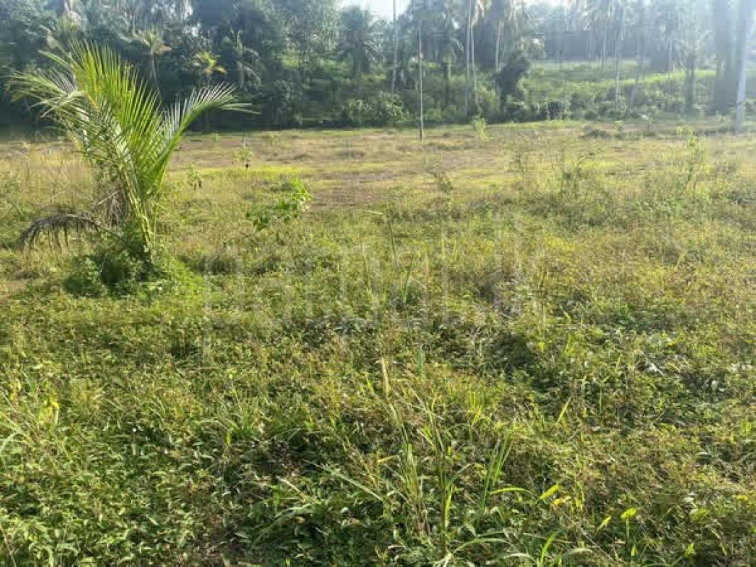 Residential Land for Sale in Gampaha