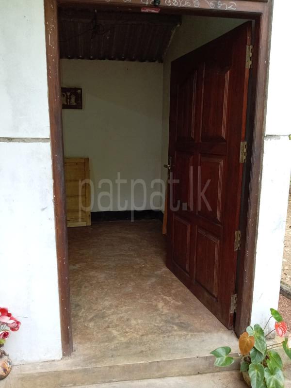 premium-listing-image