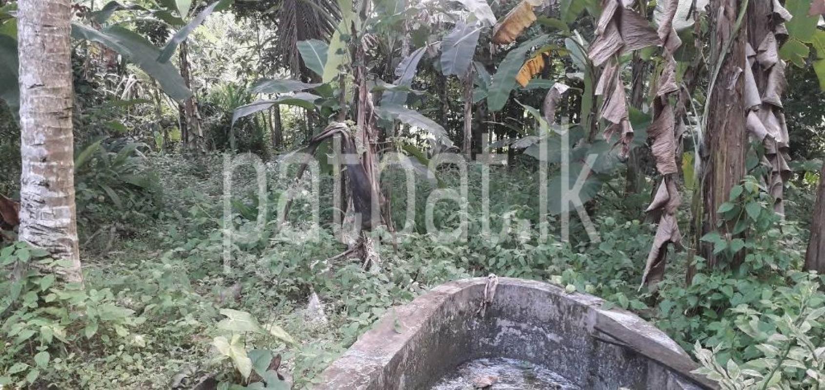 Commercial Land for Sale in Athurugiriya