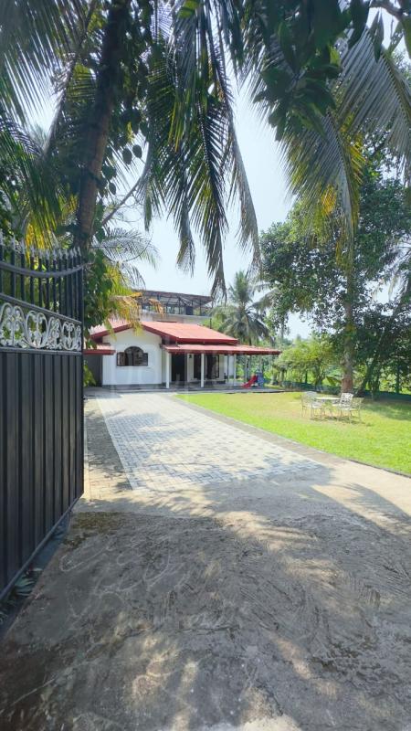 premium-listing-image