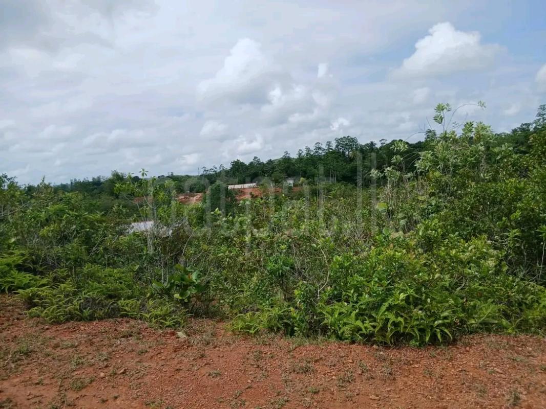Residential Land for Sale in Kolonnawa