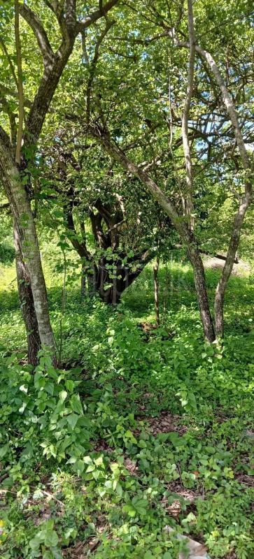 Residential Land for Sale in Kataragama