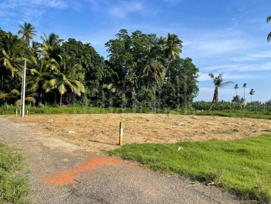 Commercial Land for Sale in Ambalantota ads-image-1