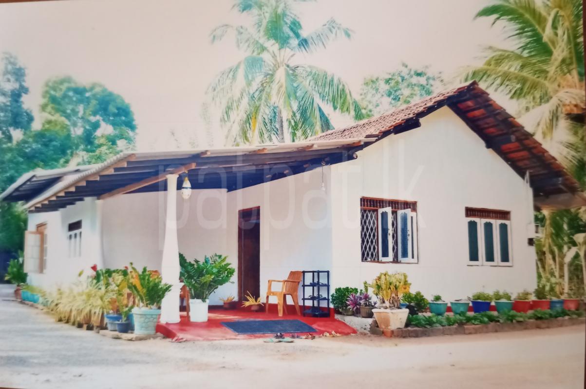 House for Sale in Embilipitiya ads-image-1