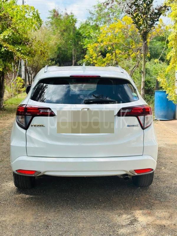 Advertisement image 6