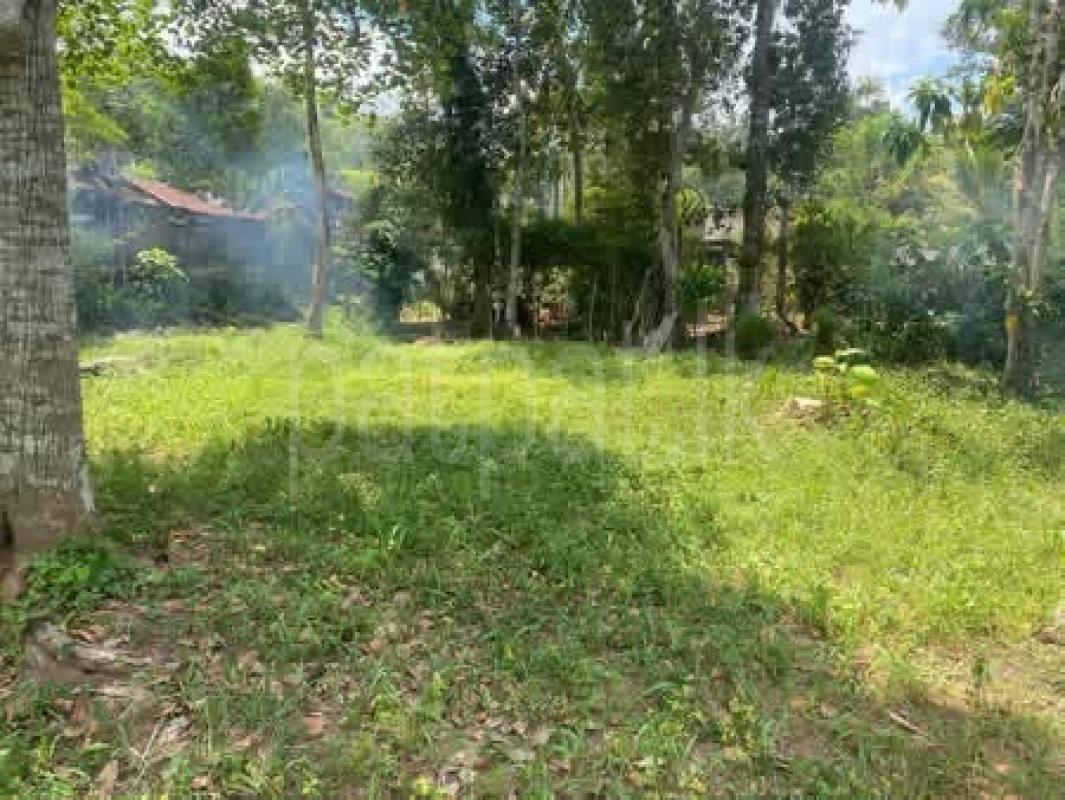 Residential Land for Sale in Polgasowita