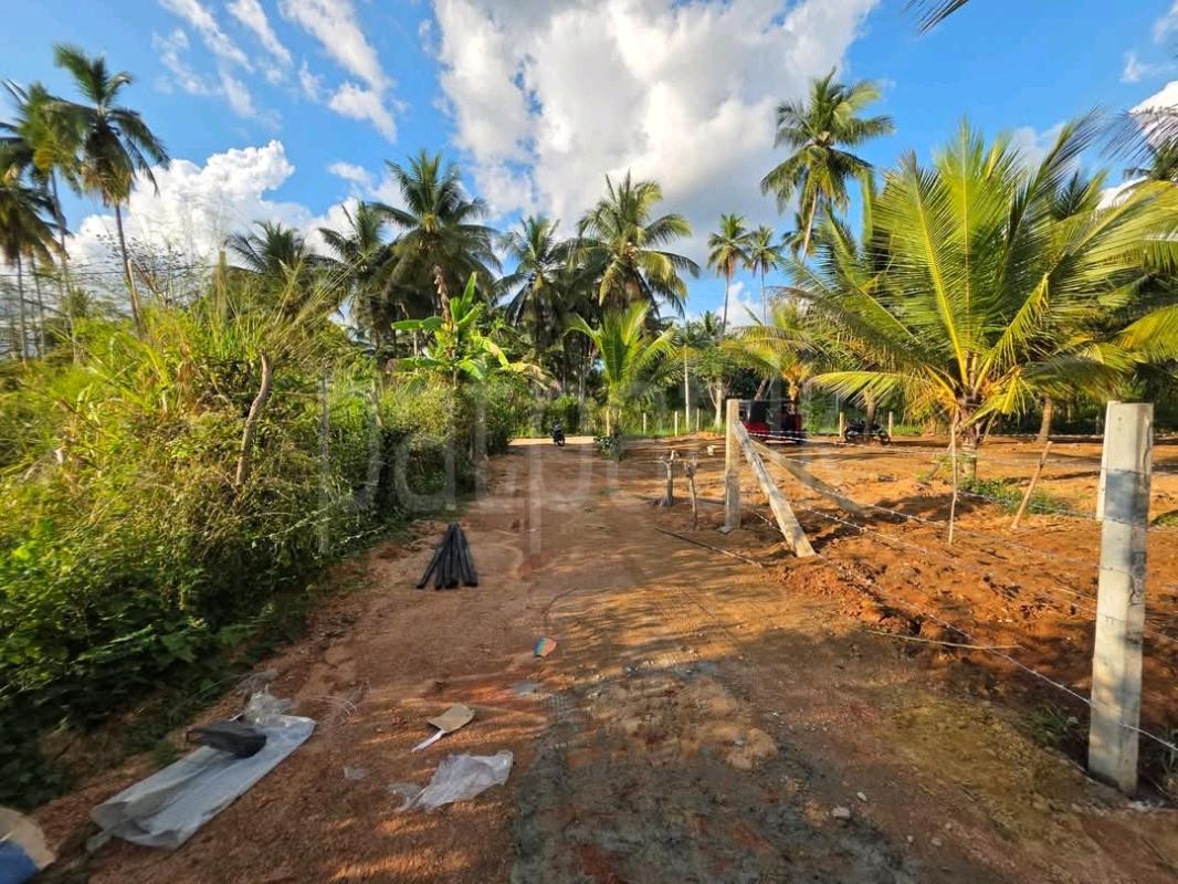 Agricultural Land for Sale in Mawathagama ads-image-1