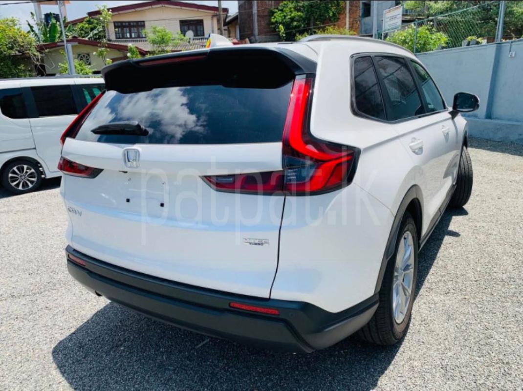 Advertisement image 6