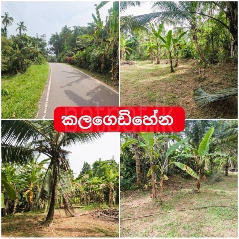 Residential Land for Sale in Kalagedihena ads-image-1