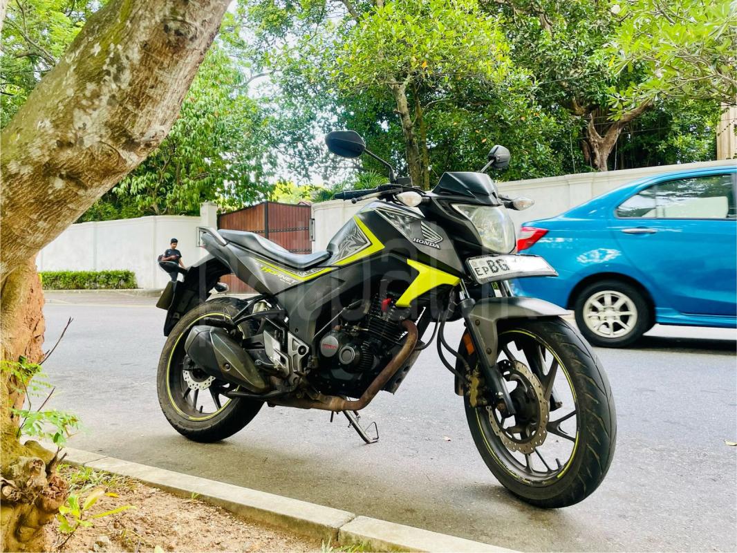 Advertisement image 6