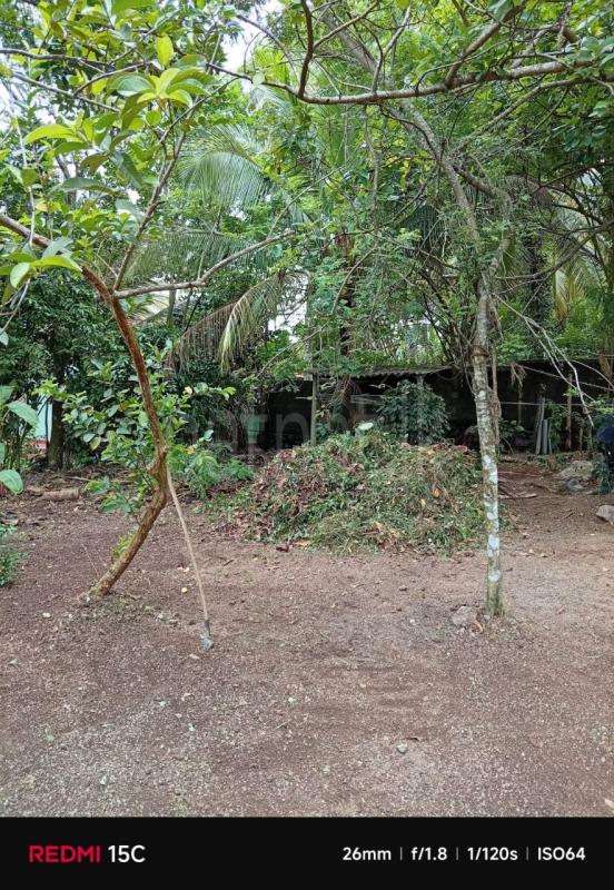 Residential Land for Sale in Yakkala