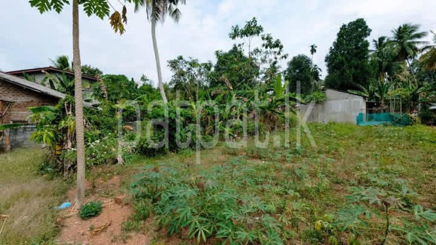 Agricultural Land for Sale in Weboda