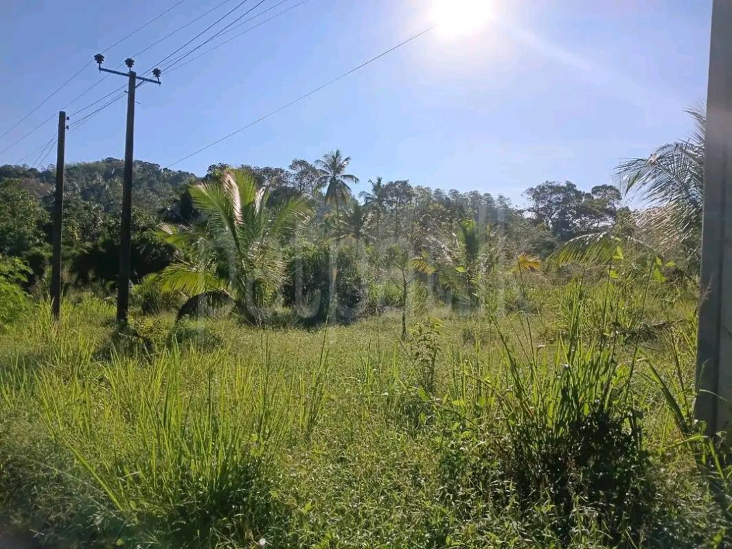 Agricultural Land for Sale in Laggala Pallegama