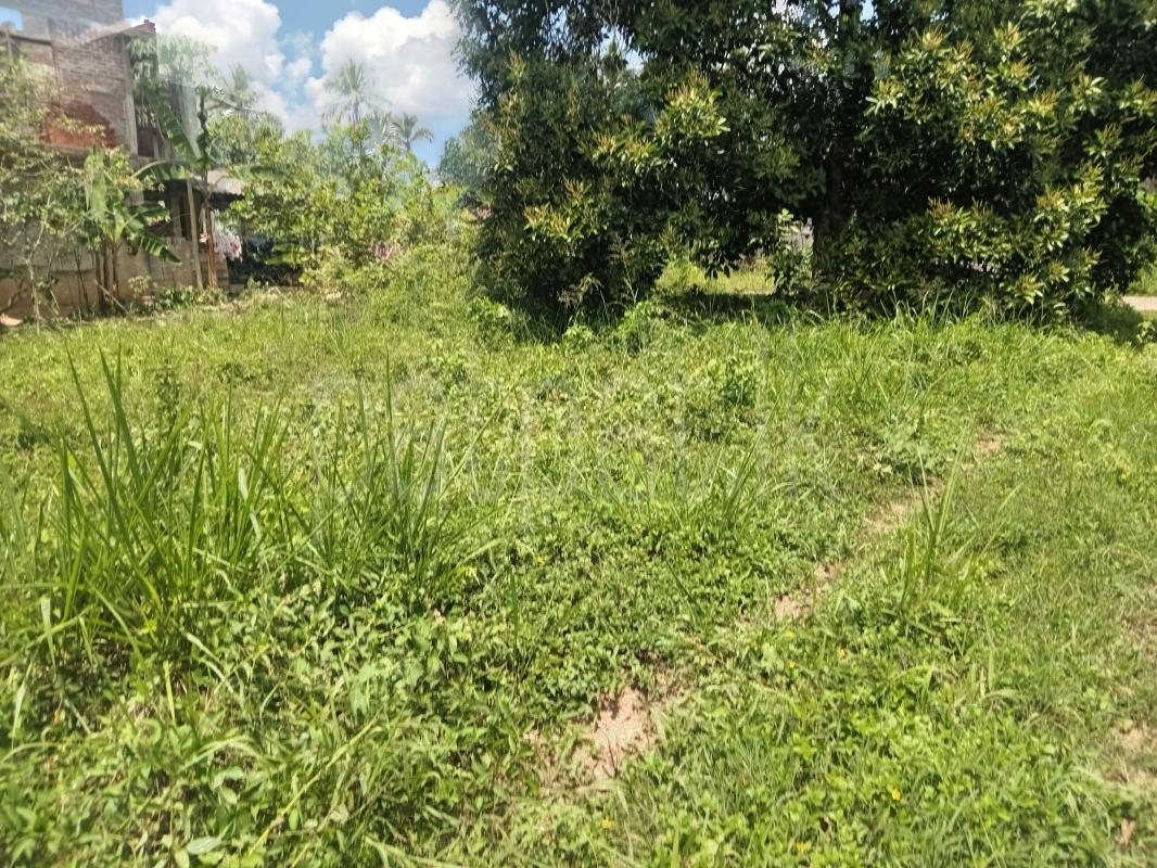 Residential Land for Sale in Gampaha