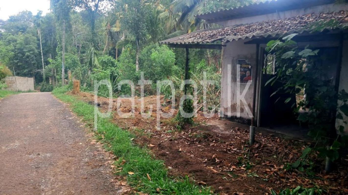 Advertisement image 6