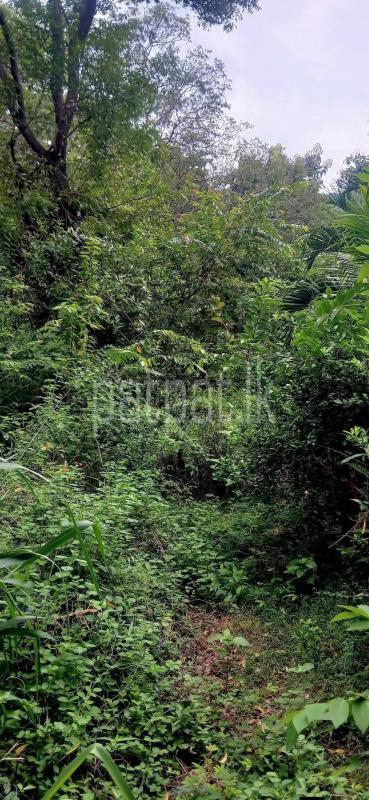 Residential Land for Sale in Kataragama