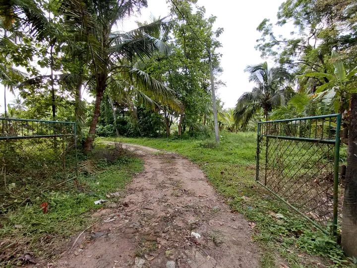 Factory / Workshop for Sale in Wellarawa