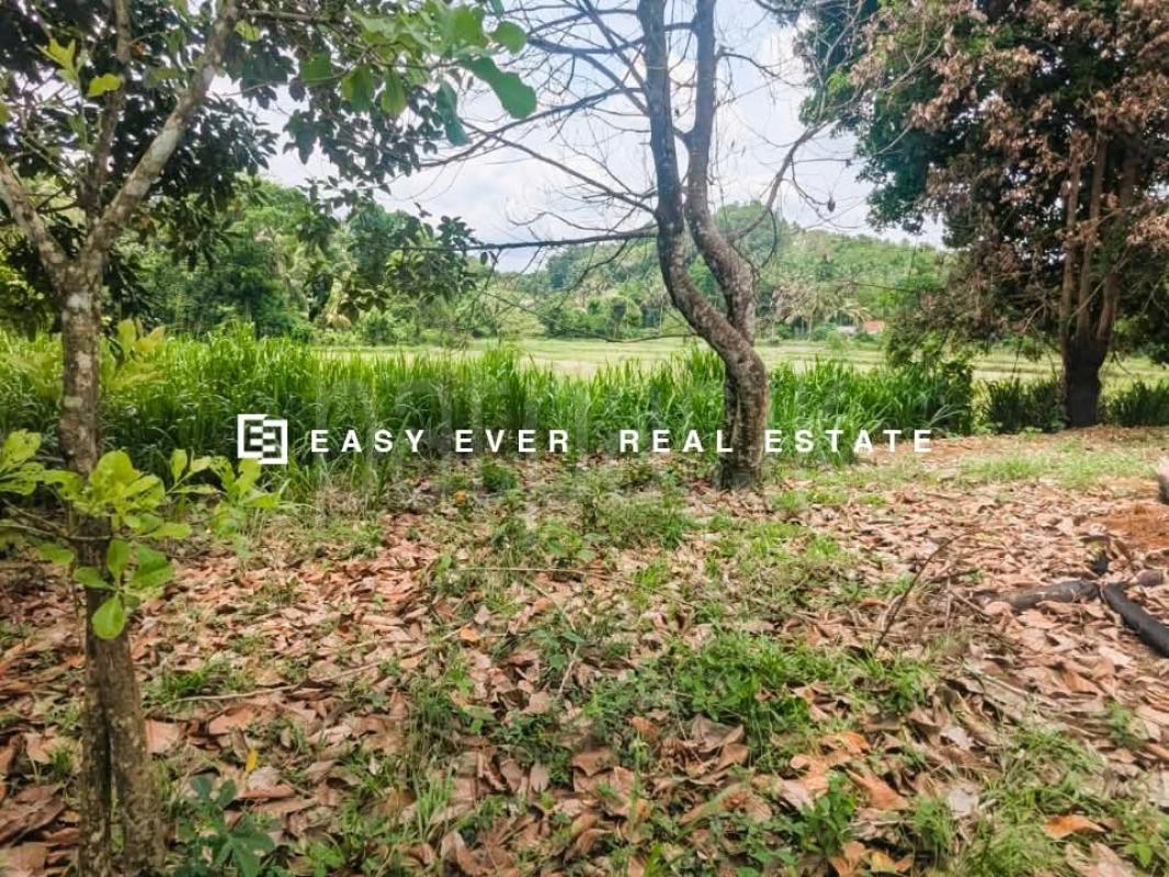 Residential Land for Sale in Negombo
