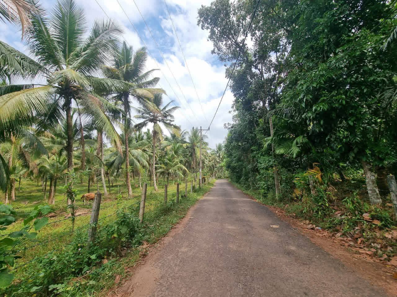 Agricultural Land for Sale in Kirindiwela