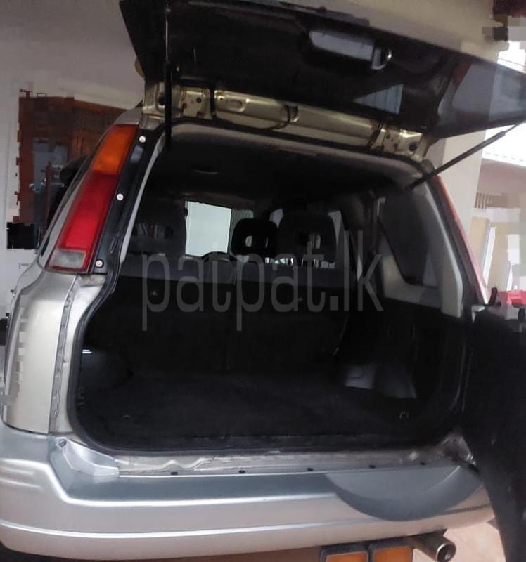 Advertisement image 3