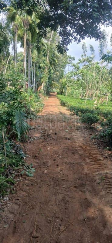 Residential Land for Sale in Matugama