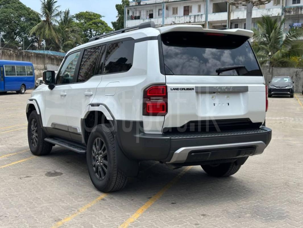 Advertisement image 2