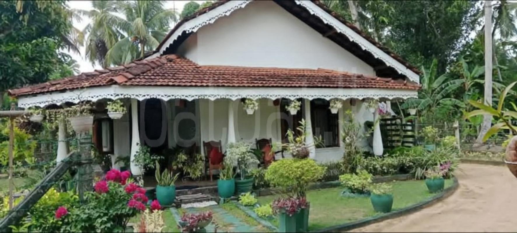 House for Sale in Negombo