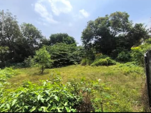 Commercial Land for Sale in Nawala