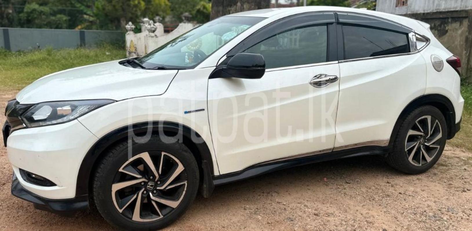 Advertisement image 2