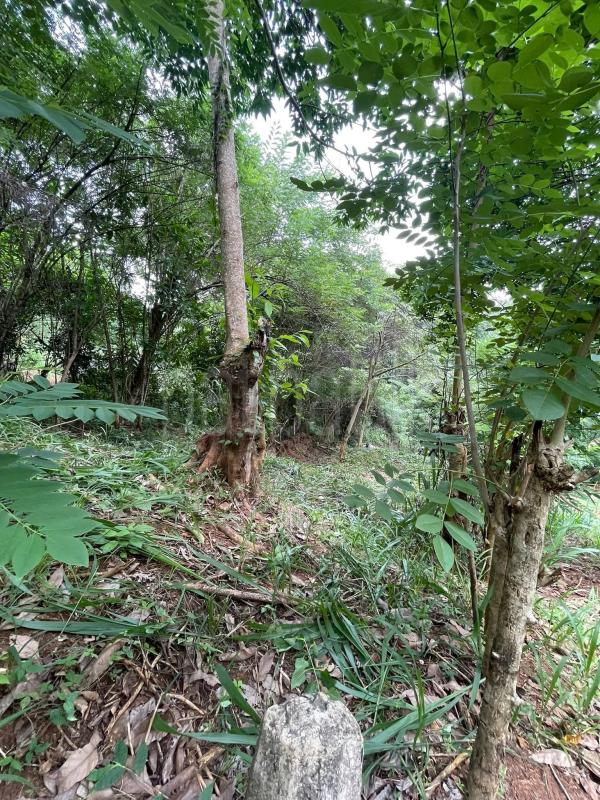 Residential Land for Sale in Matale