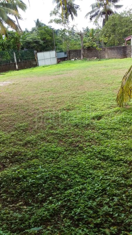 Residential Land for Sale in Pannipitiya ads-image-1